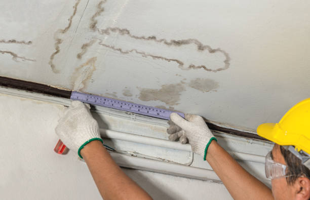 Reliable Burst Pipe Cleanup contractor in Melrose, MN by Water Damage Irwin